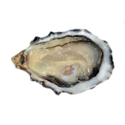 Normans Mar Completo x6